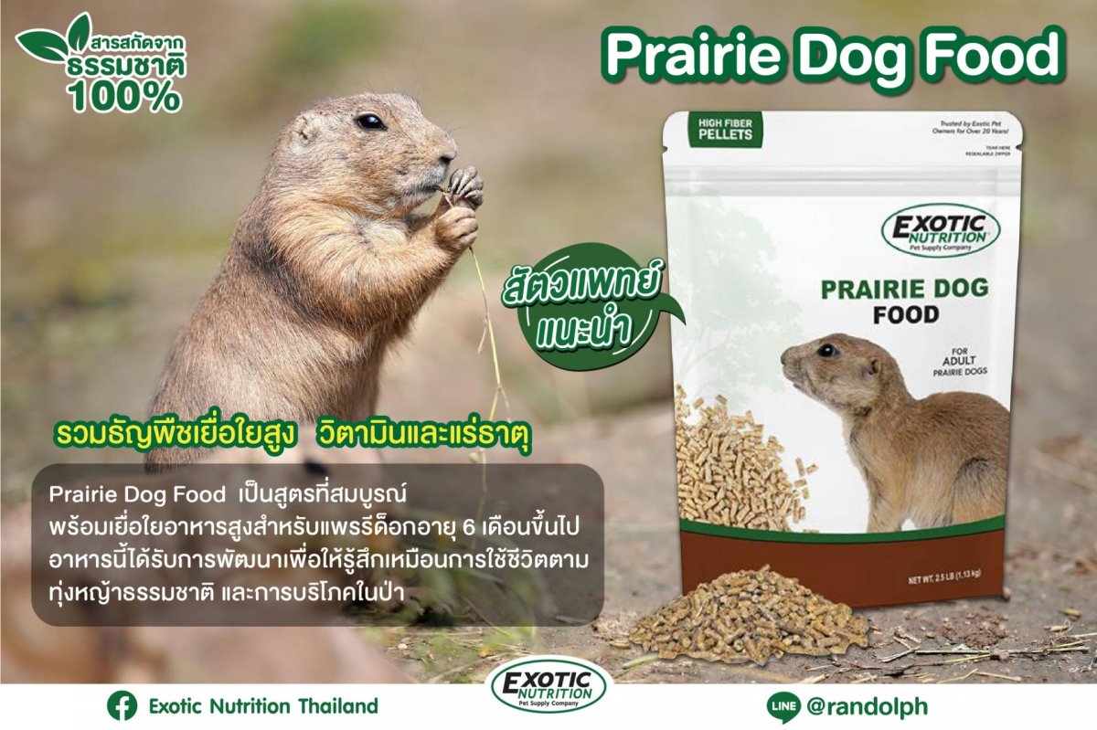 Beautiful view of Prairie Dog Food Ingredients