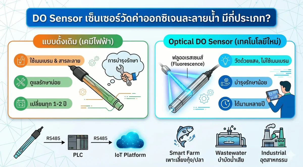 How Many Types of DO (Dissolved Oxygen) Sensors Are There?
