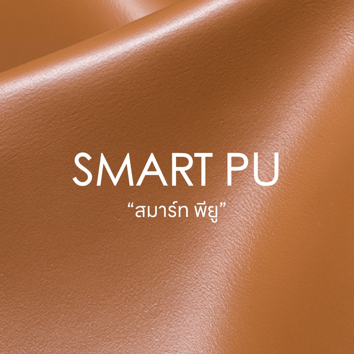 Basic Pu SMART PU