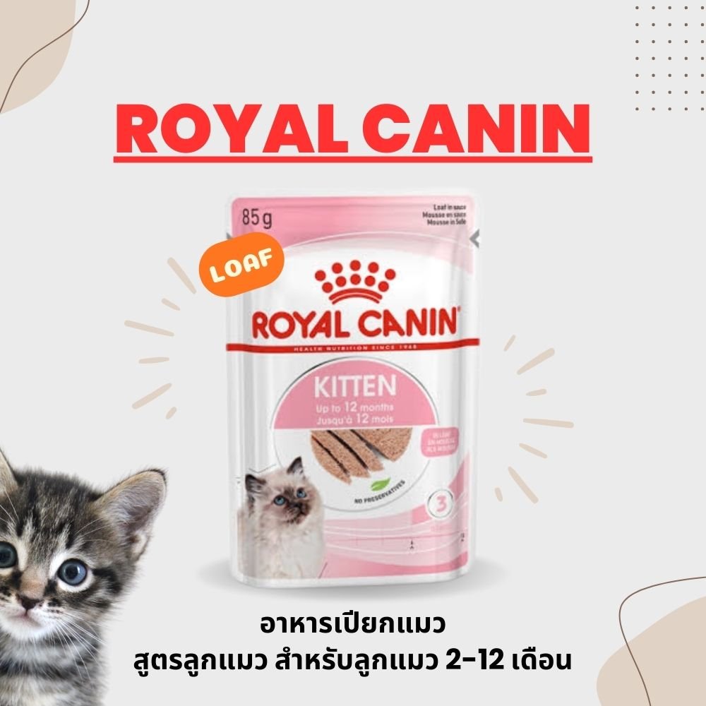 Royal Canin Kitten Loaf | อาหารเปียกสำหรับลูกแมว