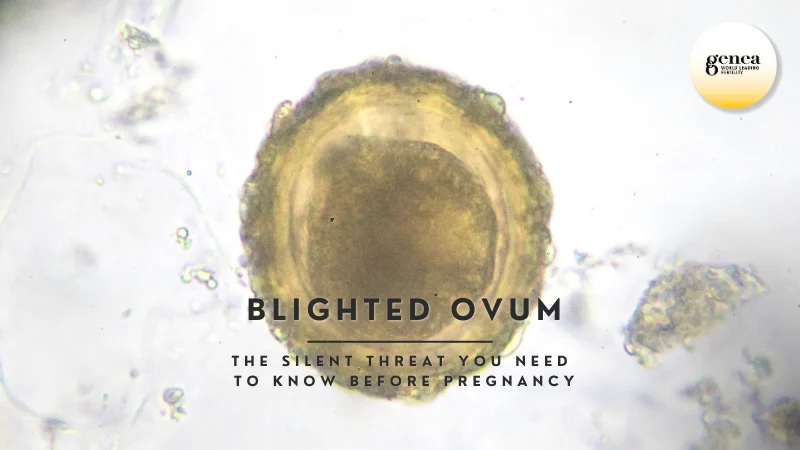 Blighted Color Blighted Ovum: The Silent Threat You Need to Know Before Pregnancy