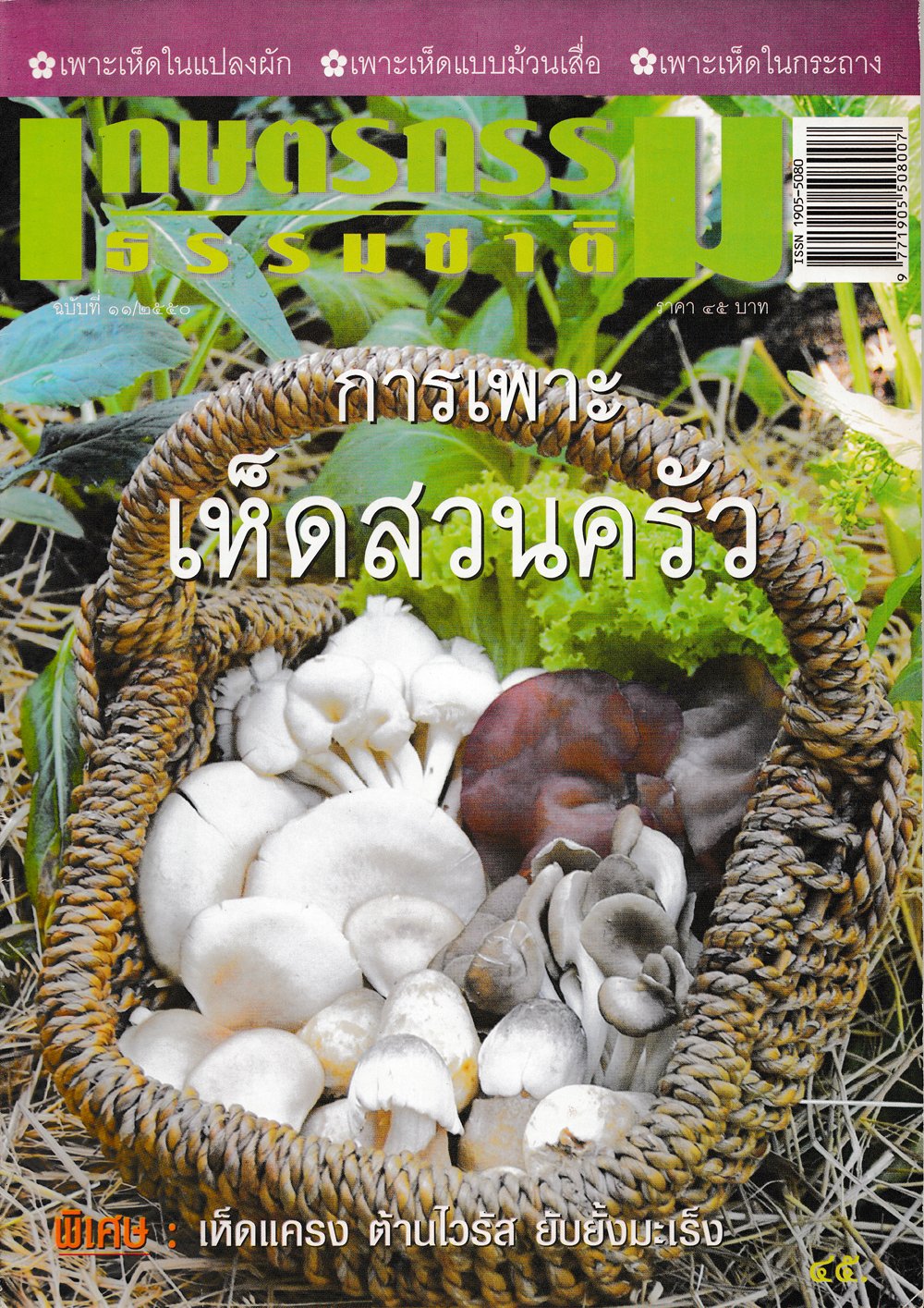 ฉบับที่ 11/2550