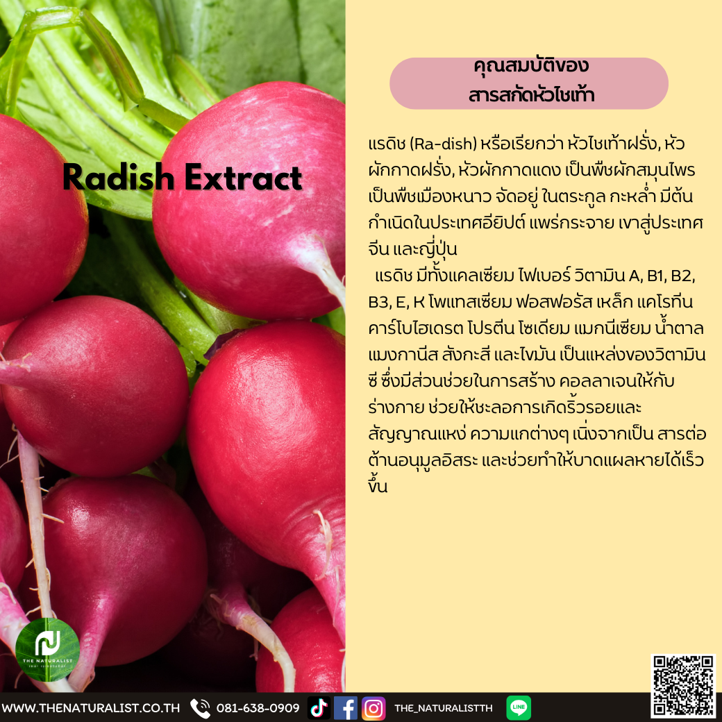 สารสกัดหัวไชเท้า Radish Extract thenaturalist