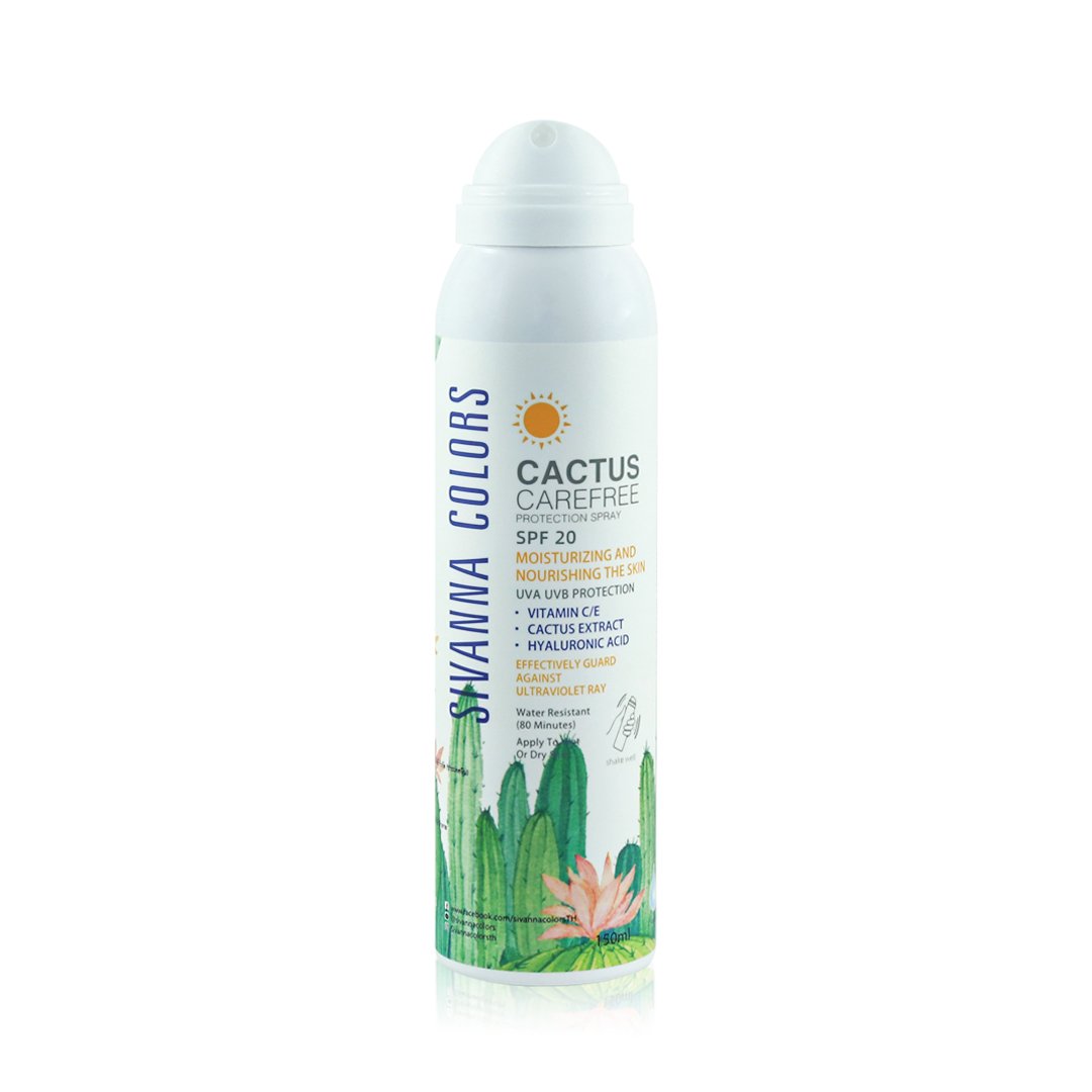 SIVANNA COLORS CACTUS CAREFREE
