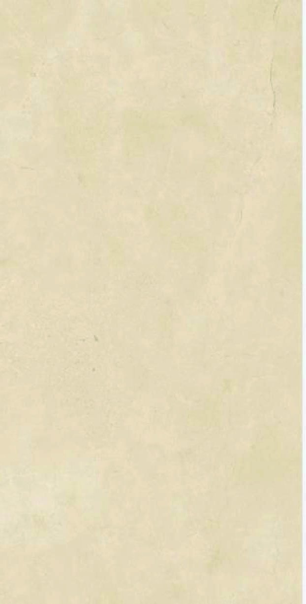 MS-TILE-CLASSIC-BEIGE-2