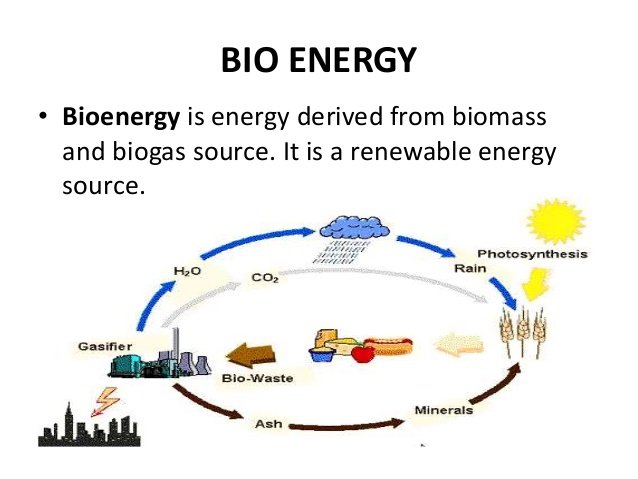 BIO MASS, BIO ENERGY