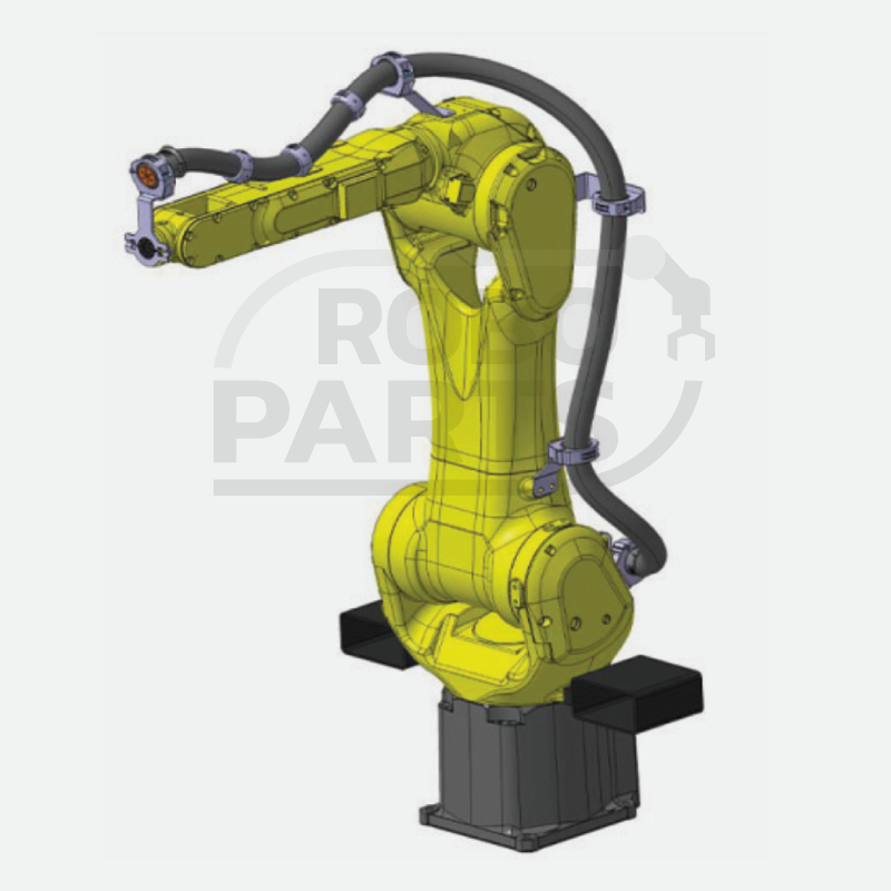 FANUC-M-20IB-25-TG-R36-TG-1J-6J, Robot Pipeline Package Case