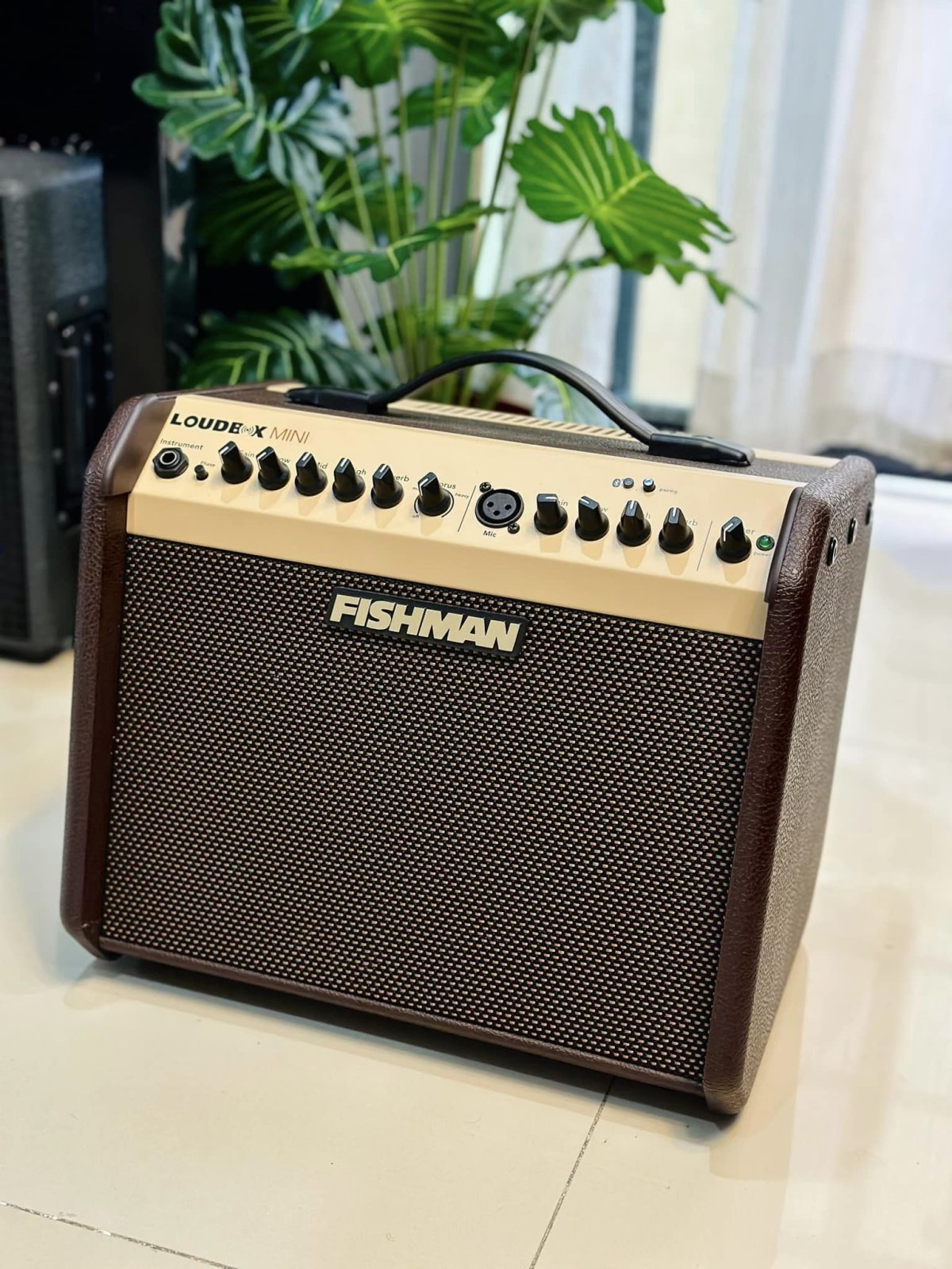 Fishman Mini Q Fishman Loud box mini
