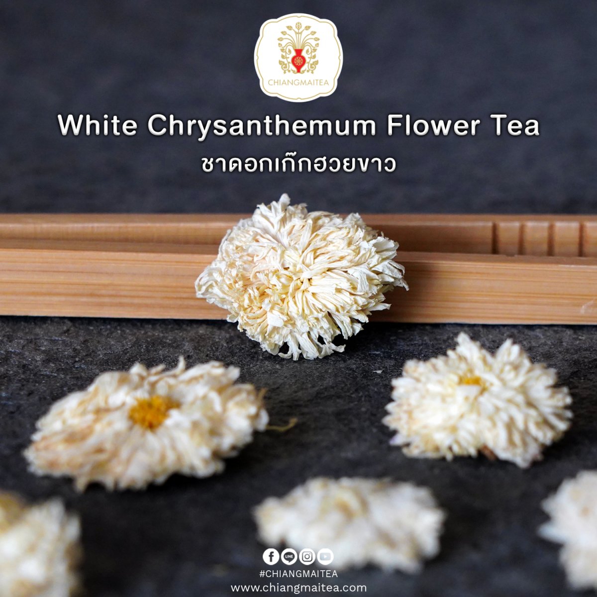 ชาดอกเก๊กฮวยขาว (White Chrysanthemum Flower Tea) 100 g. chiangmaitea
