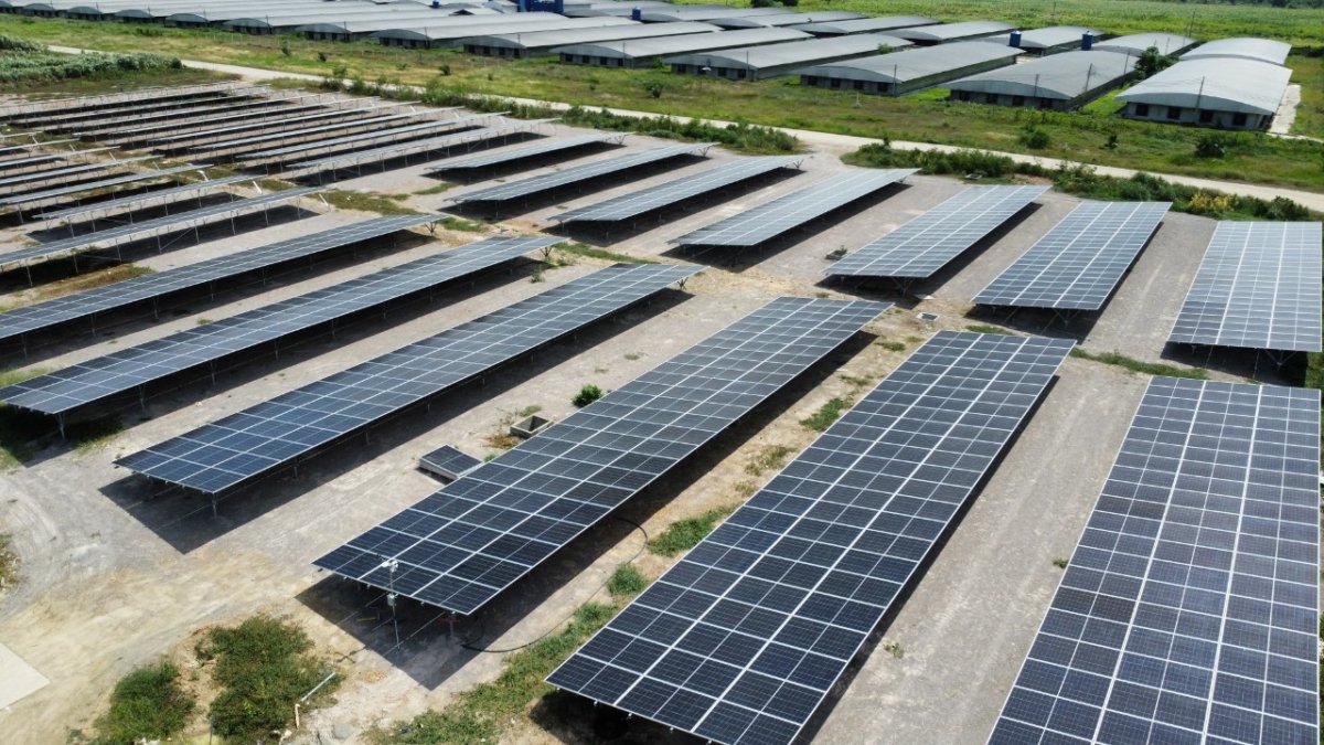SOLAR FARM