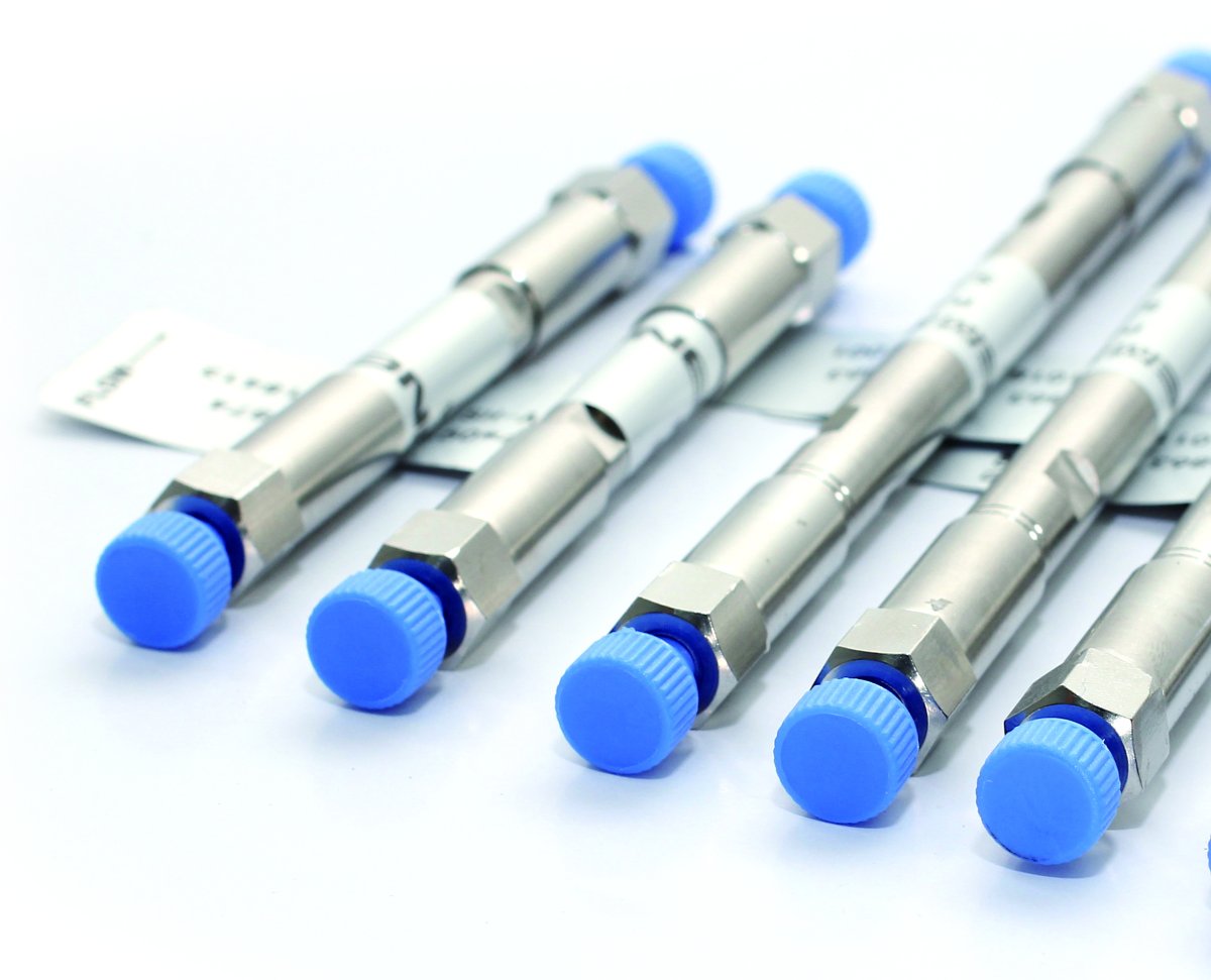SH-AP-1 Anion Analytical Column, 250x4.0mmID, PEEK | SH-AP-1