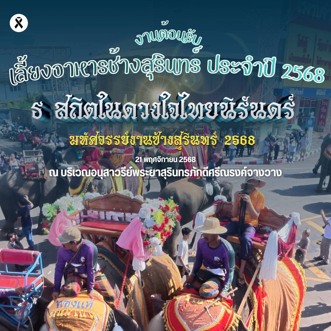 AMAZING SURINS ELEPHANT ROUND-UP 2025