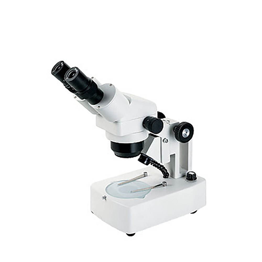 Stereo Microscope educationthai