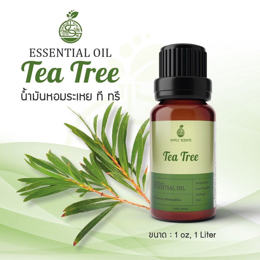 Tea Tree Essential Oil / น้ำมันหอมระเหย ที ทรี - simplescentsdiy