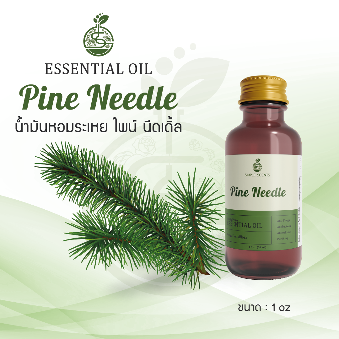 Pine Needle Essential Oil / น้ำมันหอมระเหย ไพน์ นีดเดิ้ล 1 oz