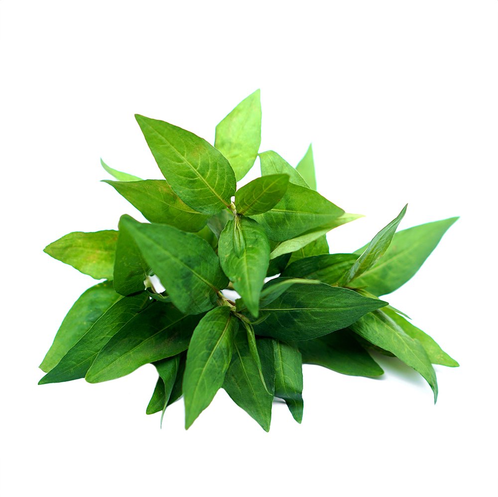 Laksa leaf (Vietnamese coriander) by Namdhari's
