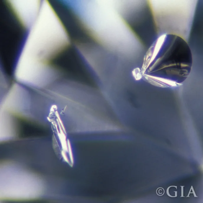 Sub Inclusions ตำหนิ (Inclusions) ที่พบในเพชรแท้เท่านั้น