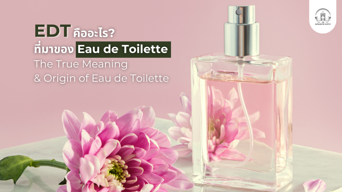 What Is EDT? The True Meaning & Origin of Eau de Toilette