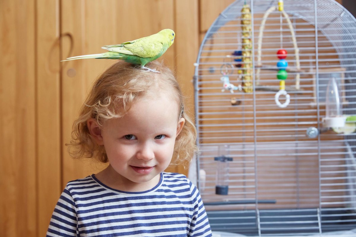 Essential Bird-Keeping Equipment Every Bird Owner Should Have at Home
