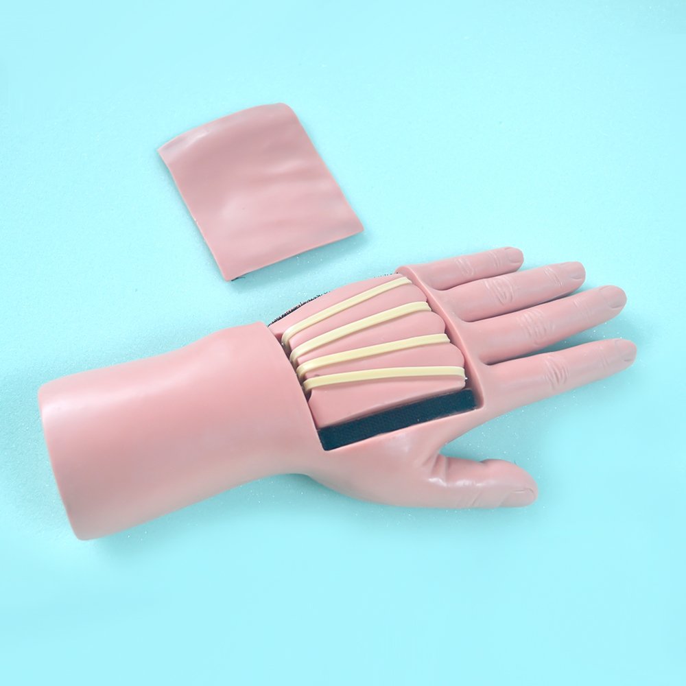 OT002 Extensor Flexor Tendon Repair Simulator ot002-extensor-flexor-tendon-repair-simulator