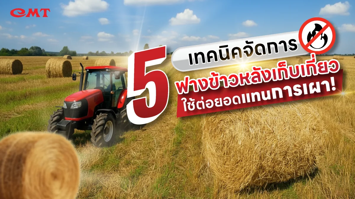 5 techniques for managing rice straw after harvesting, a new ...