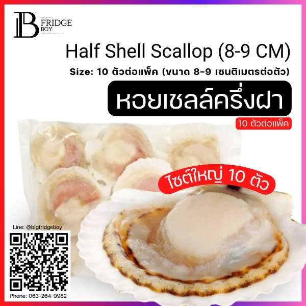 Half Shell Scallop (8-9 CM) Spec: 10 pc./pack