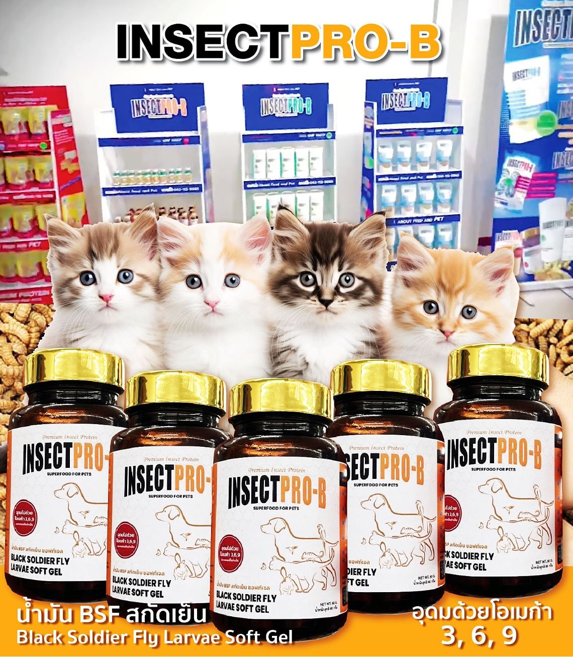 Cold-pressed BSF oil, soft gel INSEC PRO-B for cats