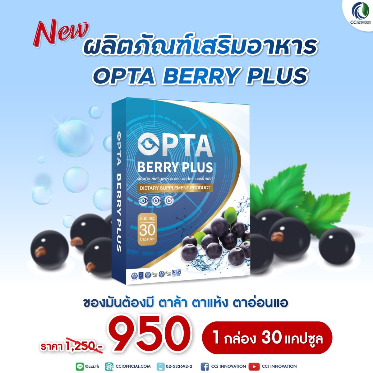 Optiberry OPTA Berry Plus - drcurmin