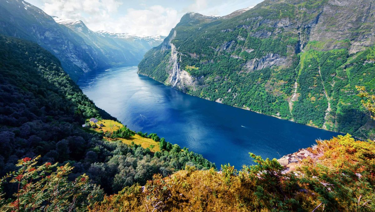 Norwegian Fjord