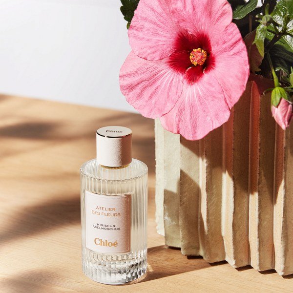 ความหอมจากดอกไม้ธรรมชาติ สู่น้ำหอมที่เกิดขึ้นจากความทรงจำ L’ATELIER DES FLEURS ใหม่ล่าสุด จากโคลเอ้ ความหอมจากดอกไม้ธรรมชาติ สู่น้ำหอมที่เกิดขึ้นจากความทรงจำ L’ATELIER DES FLEURS ใหม่ล่าสุด จากโคลเอ้