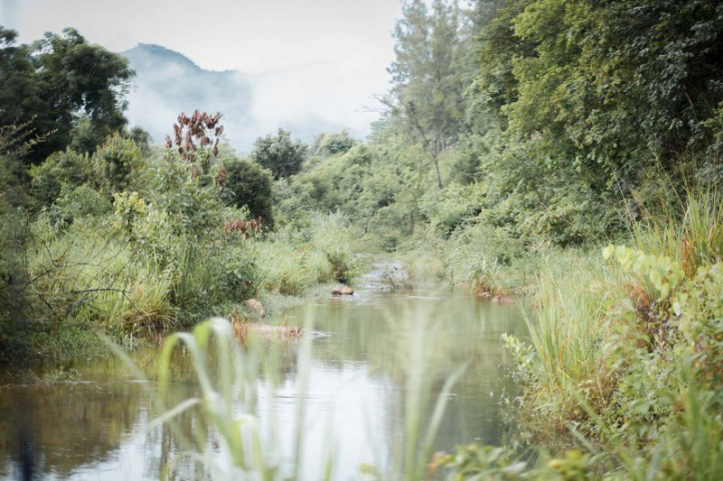 “สยามไวเนอรี่” ร่วมฟื้นฟูพื้นที่ป่า เพิ่มแหล่งอาหารสัตว์ สร้างสมดุลในการอยู่ร่วมกันของคน และป่า “สยามไวเนอรี่” ร่วมฟื้นฟูพื้นที่ป่า เพิ่มแหล่งอาหารสัตว์ สร้างสมดุลในการอยู่ร่วมกันของคน และป่า