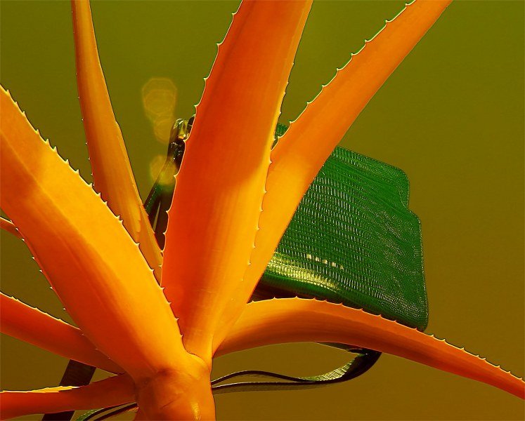 Marni เปิดตัวกระเป๋า Trunk Reverse คอลเลคชั่นรีสอร์ท 2020 Renewed, Rebooted, Revolved Marni เปิดตัวกระเป๋า Trunk Reverse คอลเลคชั่นรีสอร์ท 2020 Renewed, Rebooted, Revolved