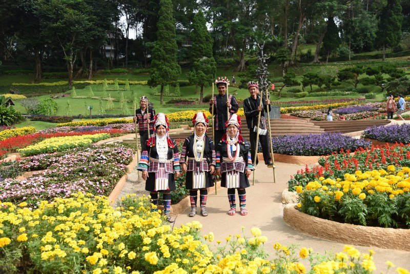 “สีสันแห่งดอยตุง” ครั้งที่ 5 In Doi Festival ครบรส คุ้มค่า ในเทศกาลแห่งความสุขบนดอยเดียว  “สีสันแห่งดอยตุง” ครั้งที่ 5 In Doi Festival ครบรส คุ้มค่า ในเทศกาลแห่งความสุขบนดอยเดียว