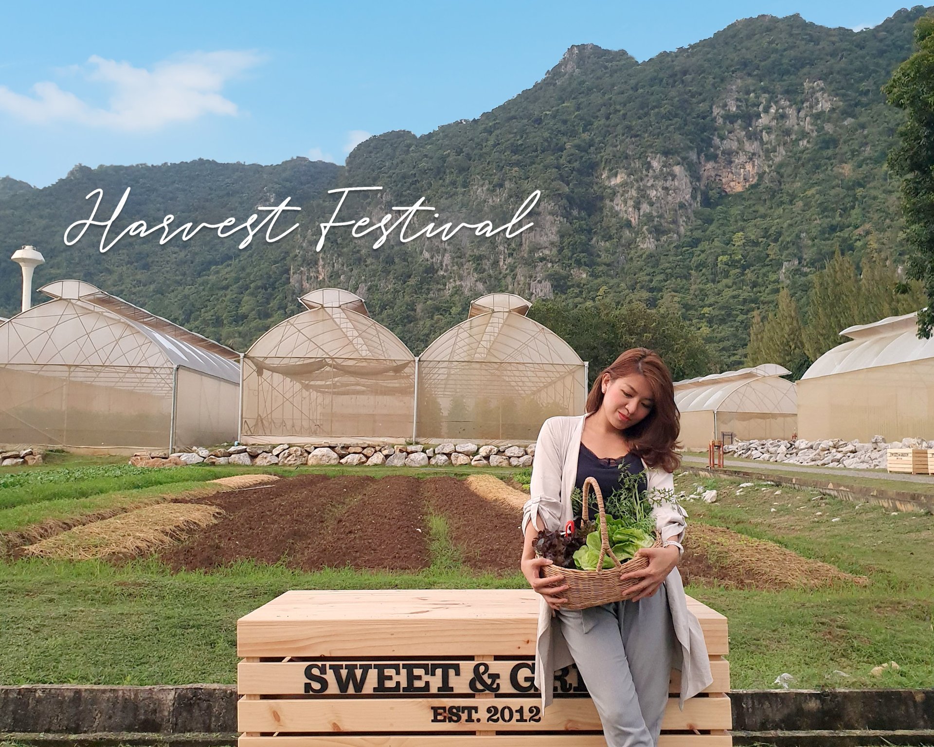 Harvest Festival ปีที่ 3