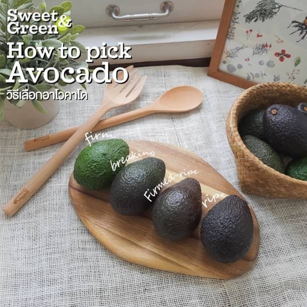 How to pick Avocado