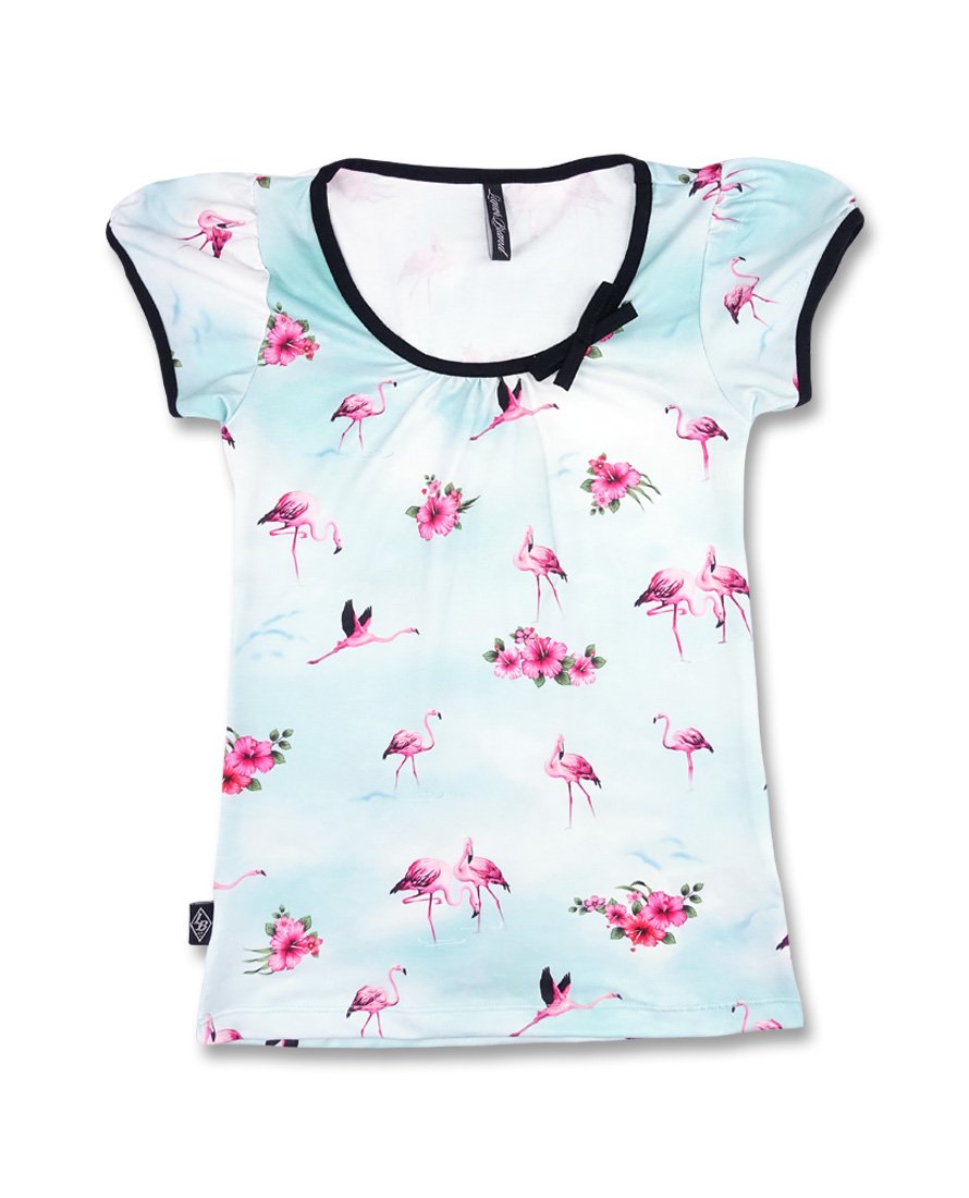 Liquor Brand Flamingos Women T-Shirts.