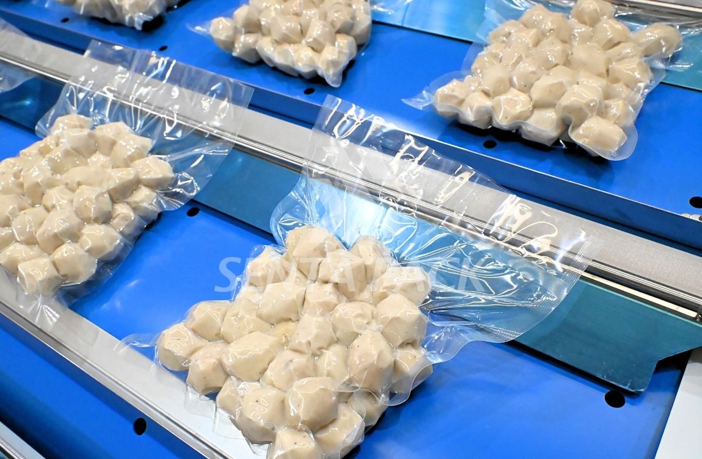 Vacuum Packaging Machine AVP-6000 Series