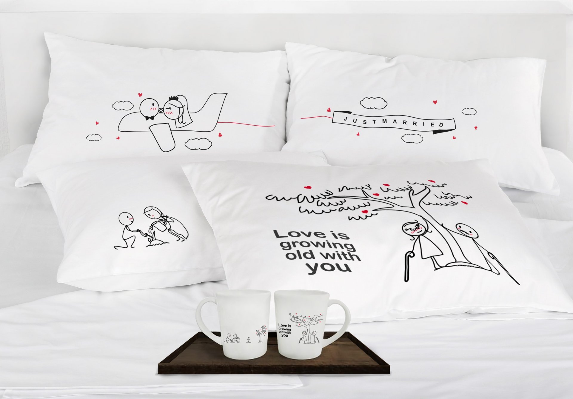 Just married plane giftset