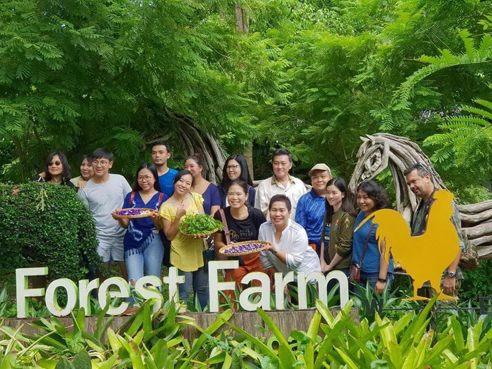 ทานอาหารเพื่อสุขภาพ เยี่ยมชมฟาร์มเกษตร@Rain Forest Farm 