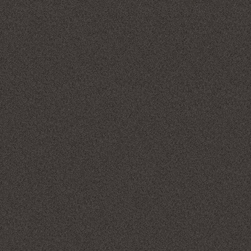ฟอสซิล เกร FOSSIL GREY