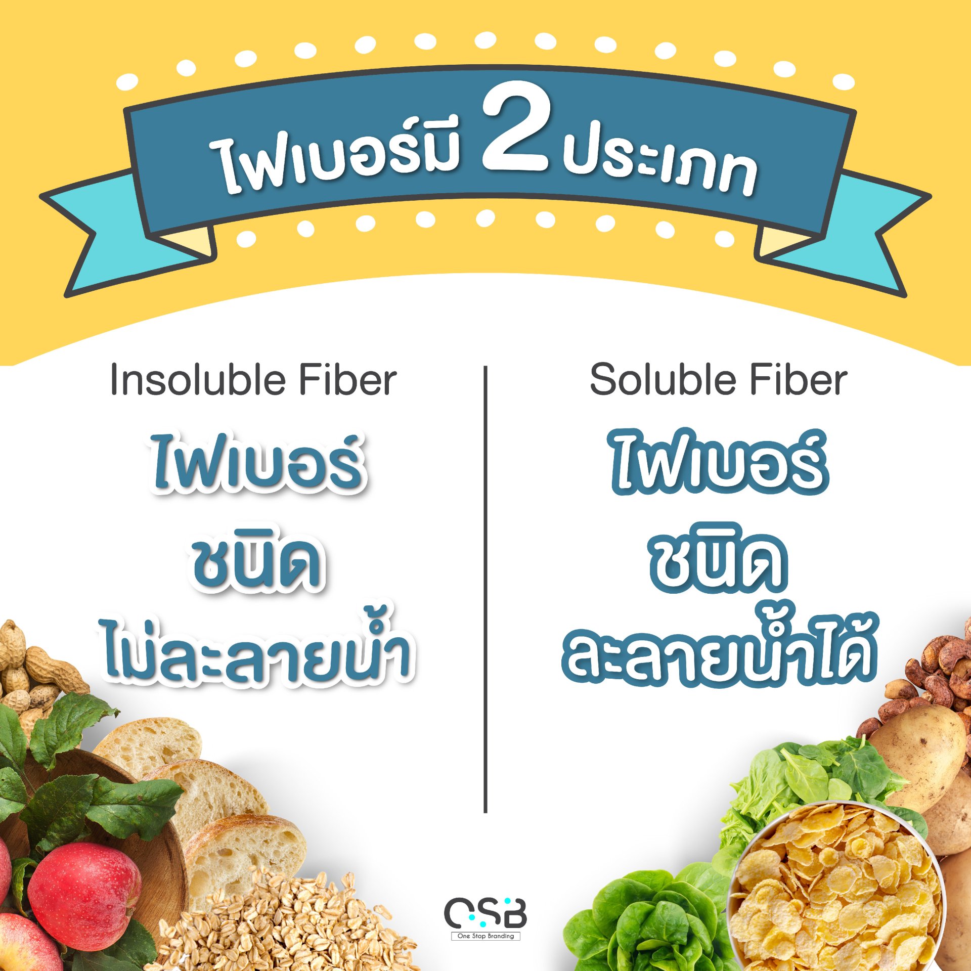 Fiber หรือ ใยอาหาร คืออะไรและมีกี่ประเภท