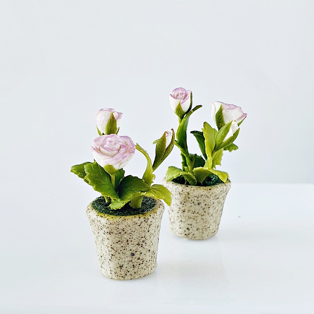 Set of 2 Pots Rose Flowers