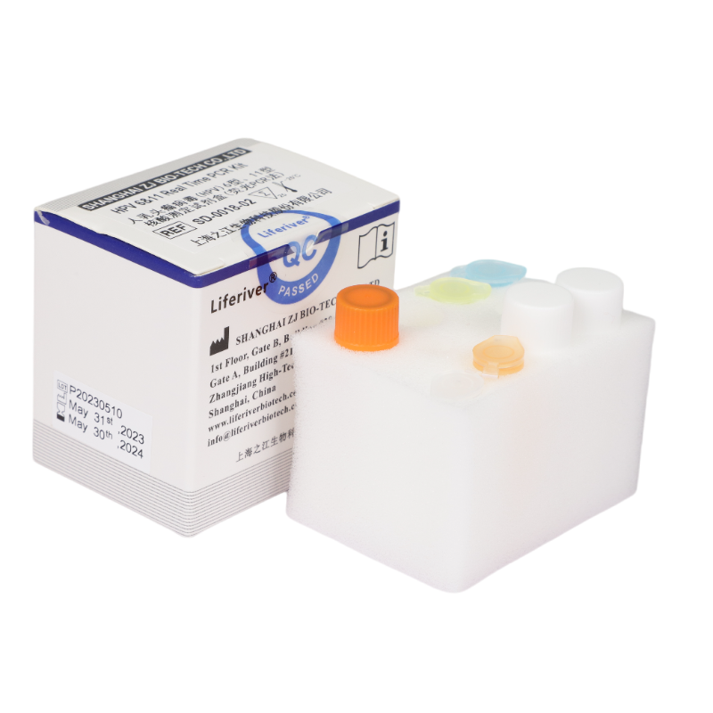 CT&NG Real Time PCR Kit