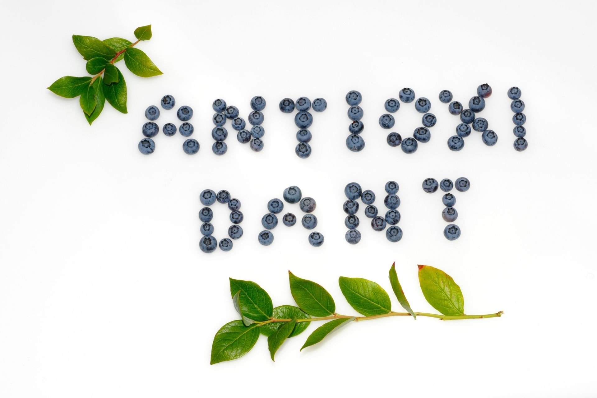 Antioxidant คืออะไร ครีม Antioxidant เลือกตัวไหนดี 