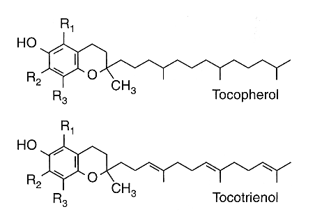 โครงสร้างเคมีของวิตามินอีโทโคไตรอีนอล