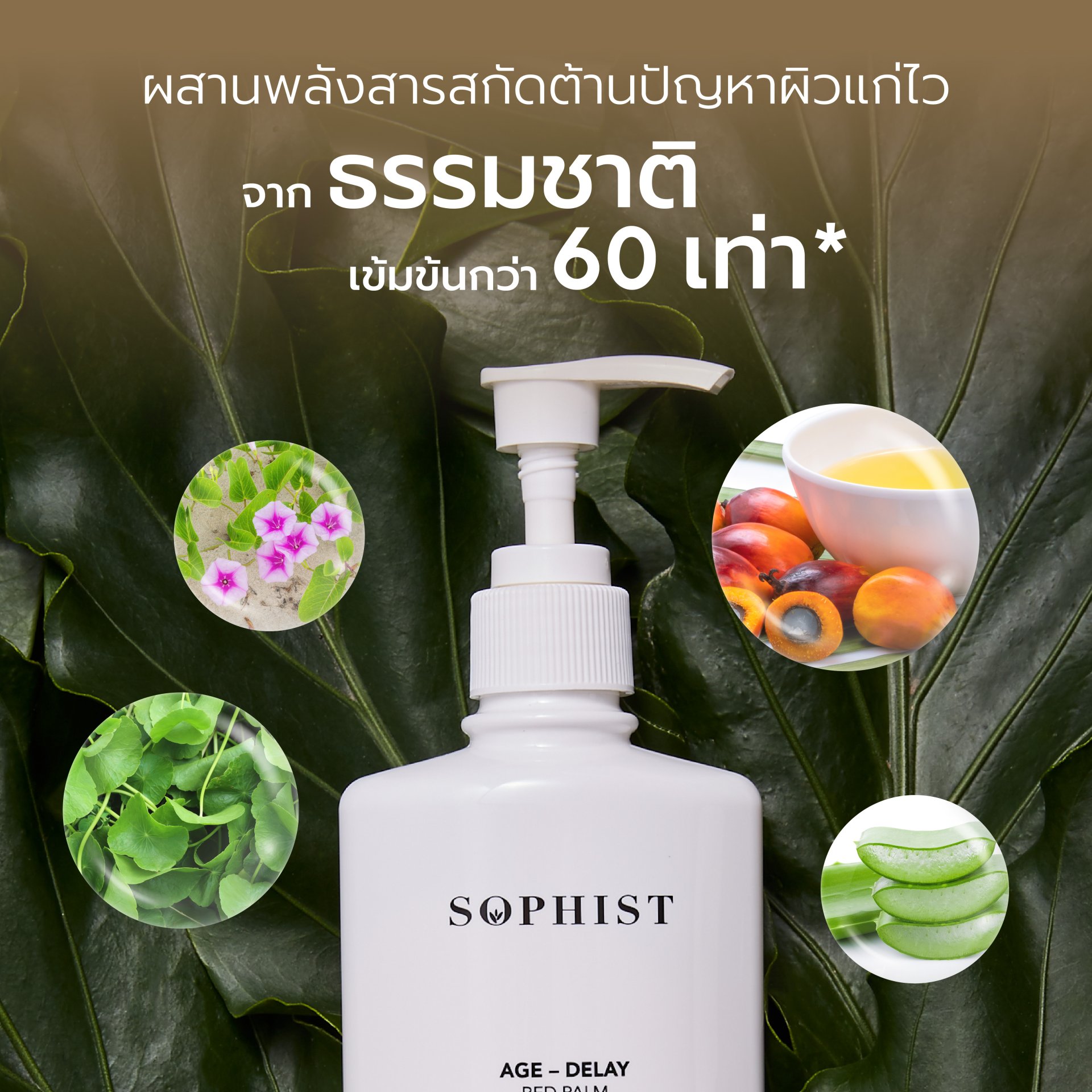 Sophist Age-Delay Red Palm Repairing Treatment Body Lotion โลชั่นบำรุงผิวเนื้อเข้มข้น สูตรพิเศษจาก Sophist  โลชั่นสำหรับผิวแห้งเสีย แพ้ง่าย