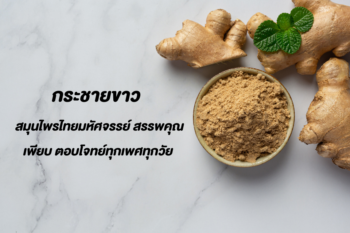 กระชายขาว