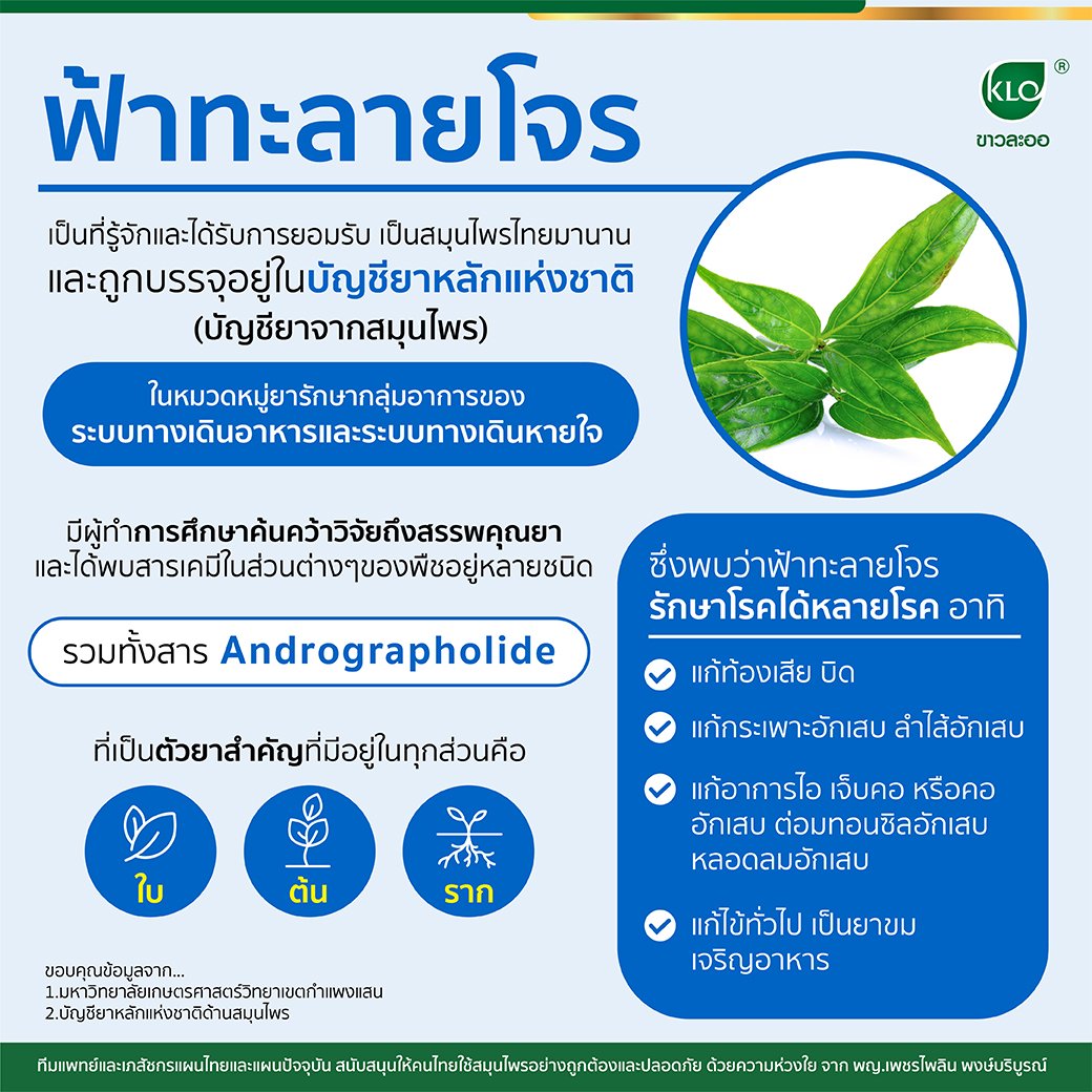 Andrographis paniculata has been known and accepted as a Thai herb for a long time. and is included in the national drug list