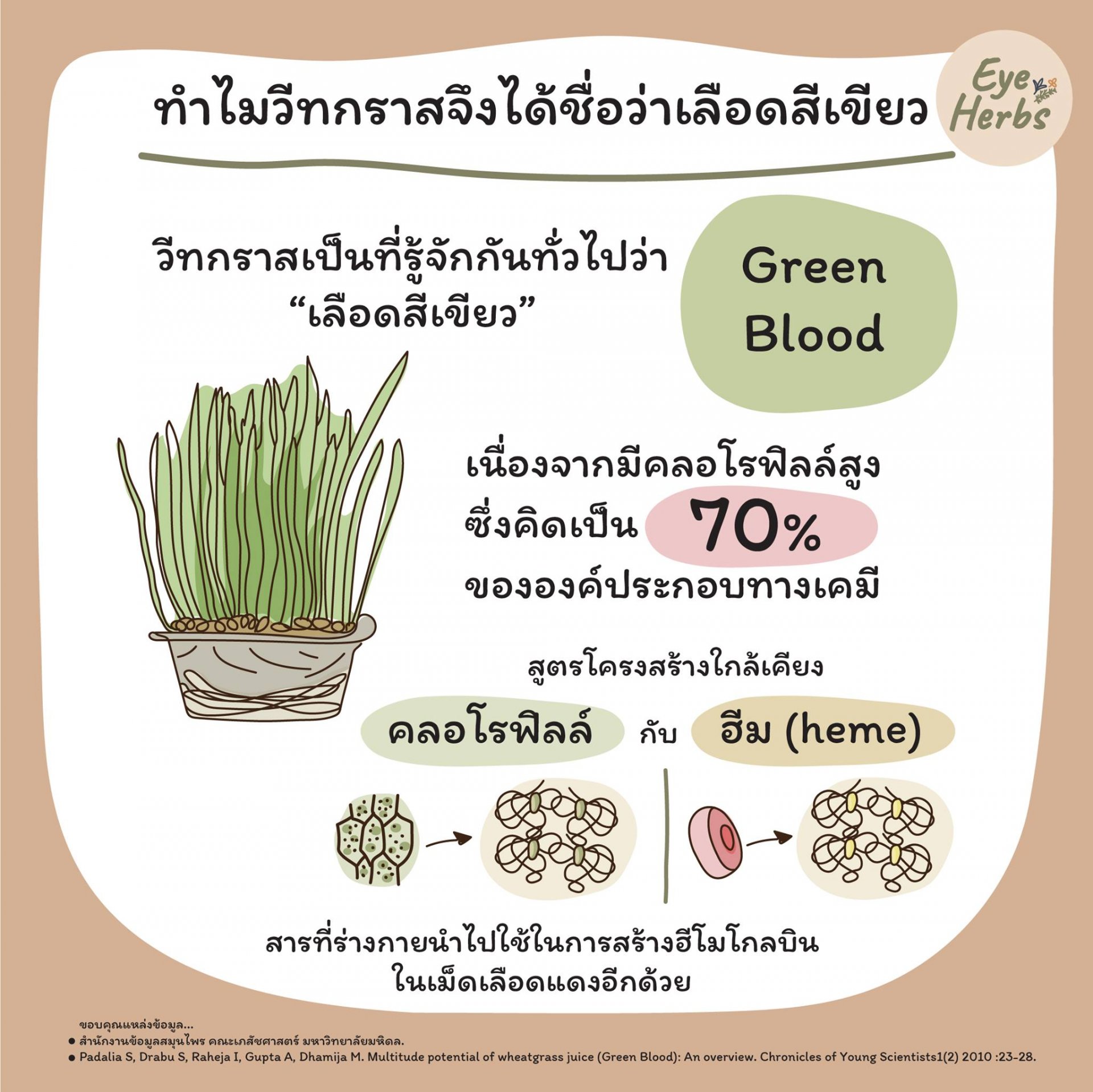 Why is wheatgrass called green blood?