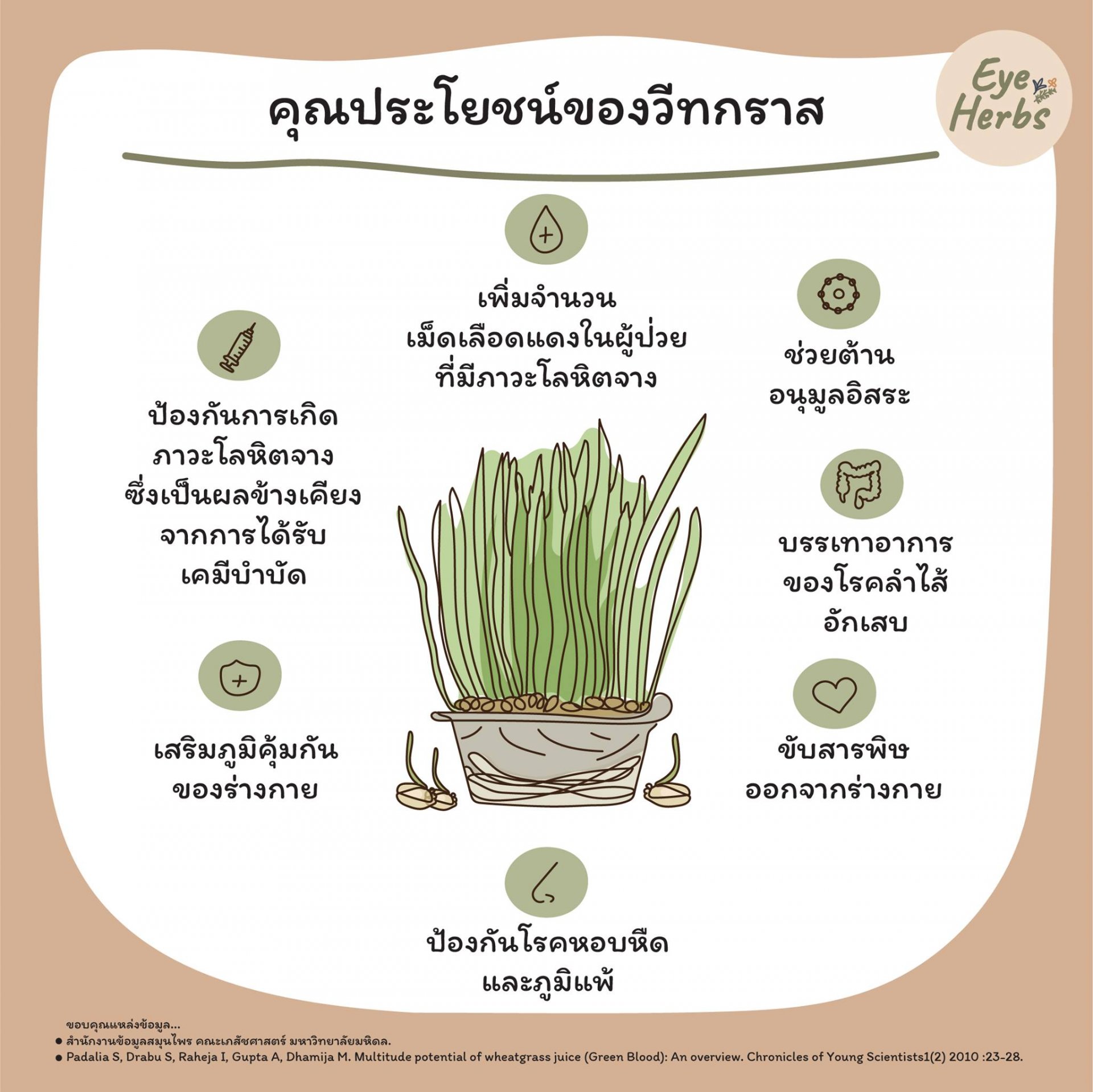Benefits of wheatgrass